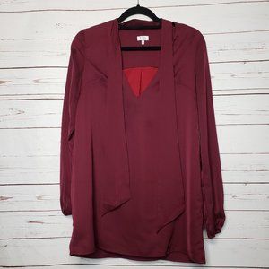 Tobi Tie Neck Long Sleeve Mini Dress